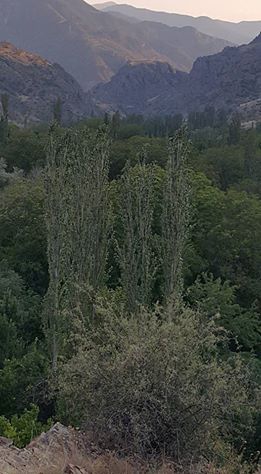 Olur Olurdere Köyü Resimleri 1