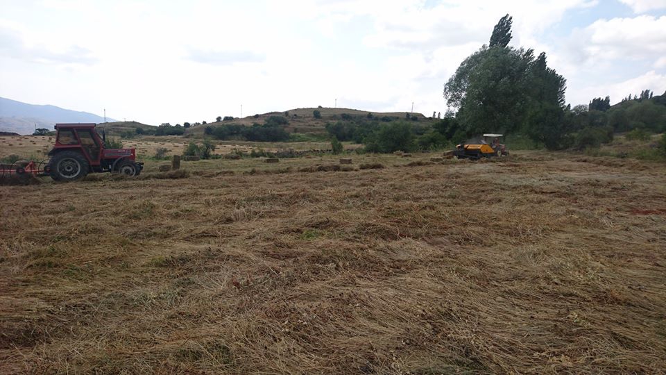 Olur Sarıbaşak Köyü Resimleri 2