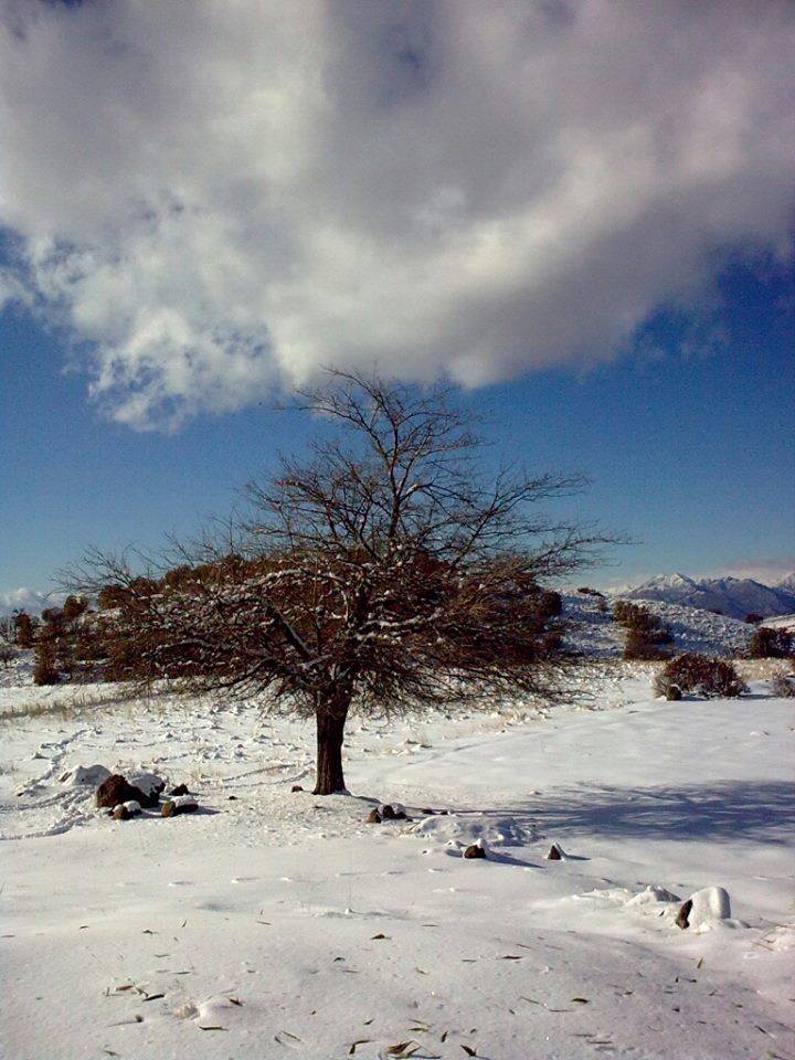 Olur Sarıbaşak Köyü Resimleri 4