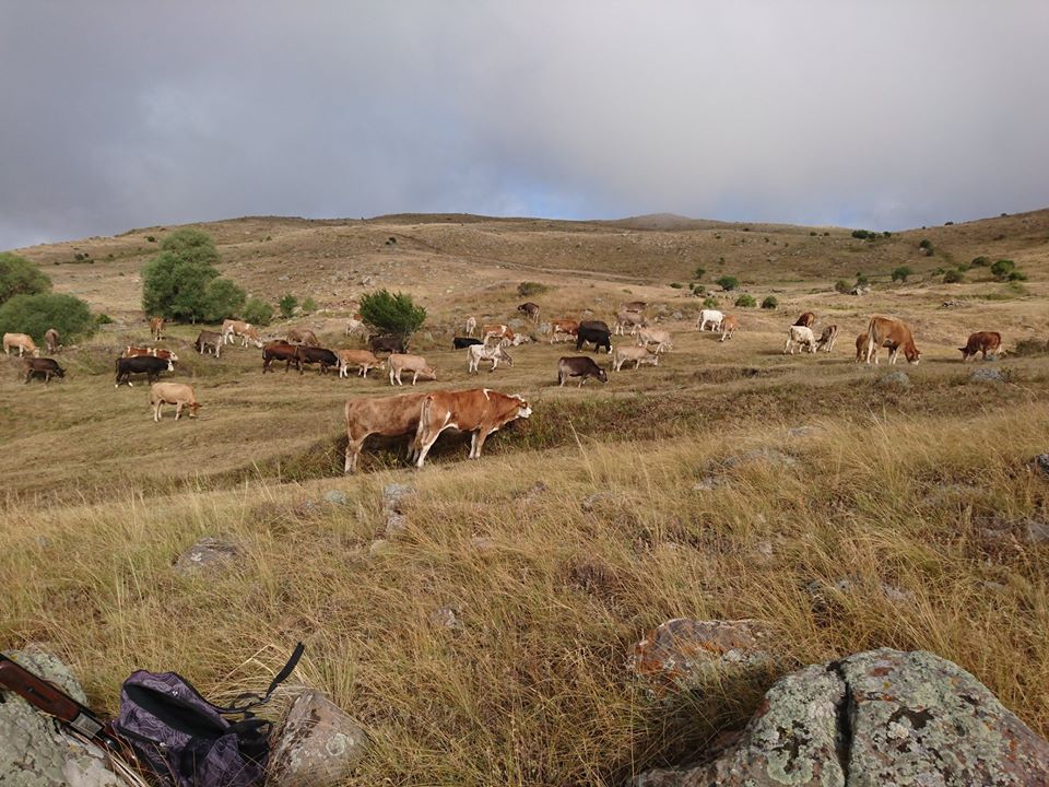 Olur Sarıbaşak Köyü Resimleri 5