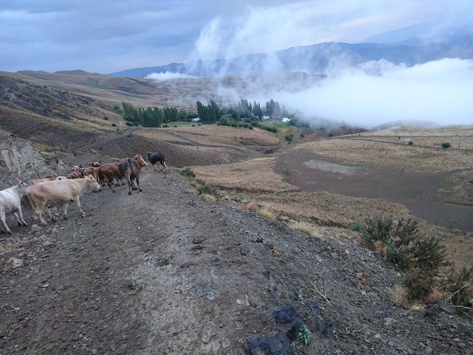 Olur Sarıbaşak Köyü Resimleri 6
