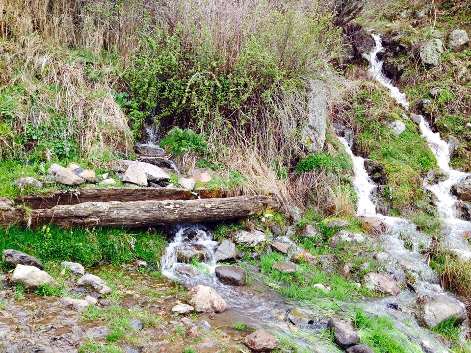 Olur Soğukgöze Köyü Resimleri 2