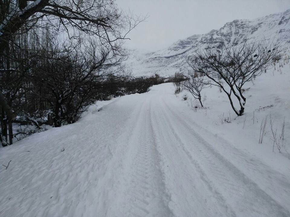 Olur Soğukgöze Köyü Resimleri 7