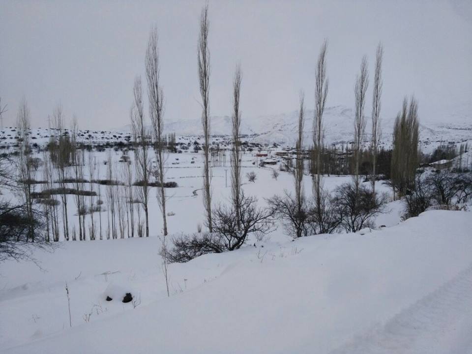 Olur Soğukgöze Köyü Resimleri 8