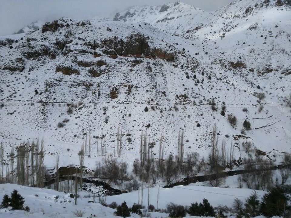 Olur Soğukgöze Köyü Resimleri 9