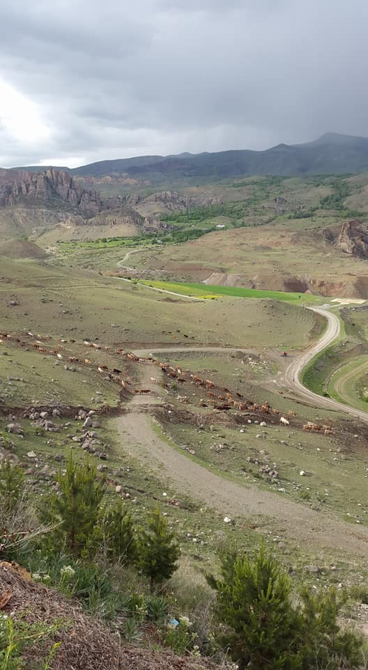Olur Süngübayır Köyü Resimleri 3