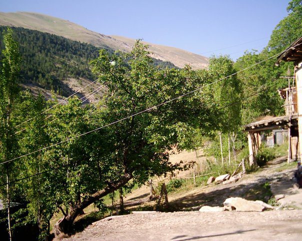 Olur Şalpazarı Köyü Resimleri 10