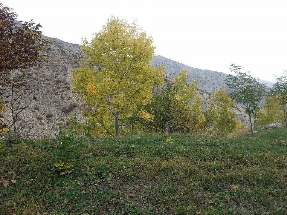 Olur Şalpazarı Köyü Resimleri 2