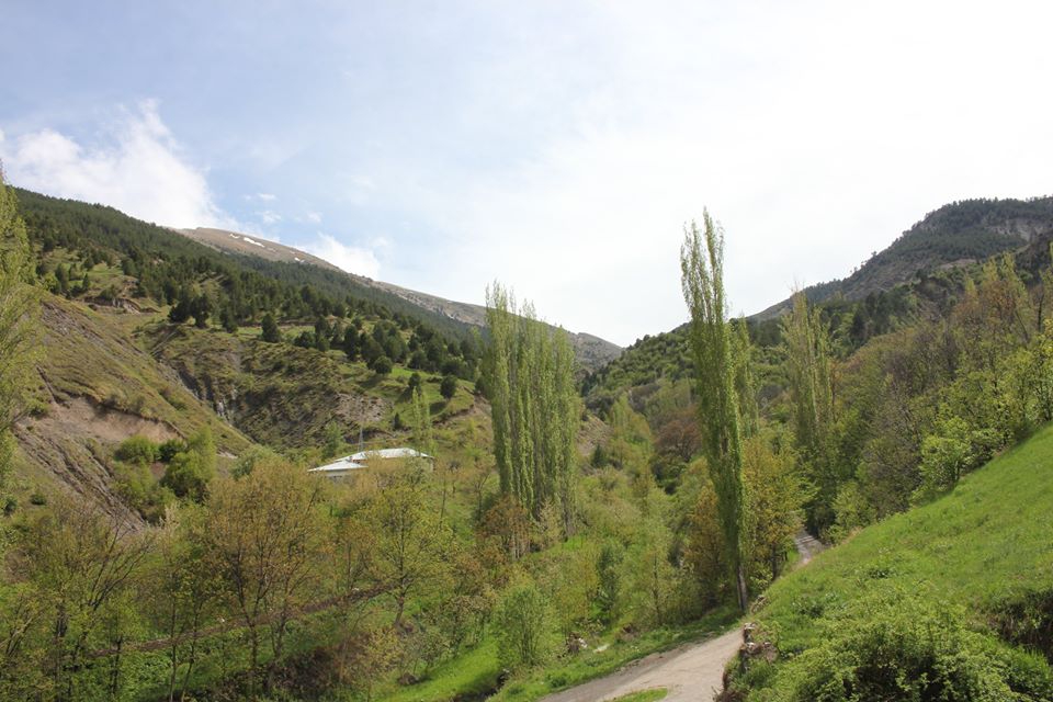 Olur Şalpazarı Köyü Resimleri 7