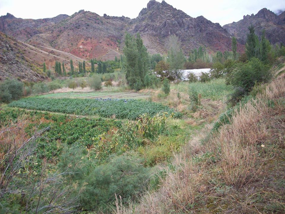 Olur Taşlıköy Köyü Resimleri 10