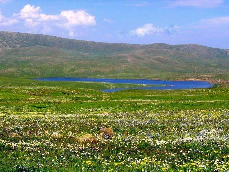 Olur Ürünlü Köyü Resimleri 3