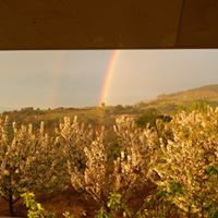 Salihli Çamurhamamı Köyü Resimleri 11