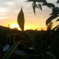 Salihli Çamurhamamı Köyü Resimleri 17