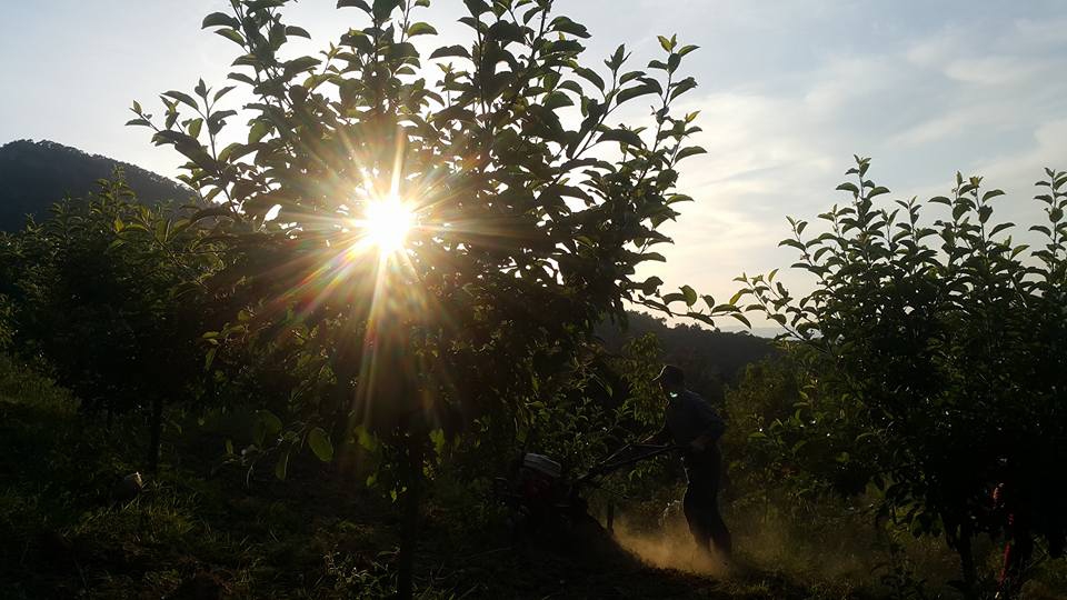 Salihli Çamurhamamı Köyü Resimleri 19