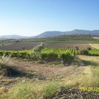 Salihli Çapaklı Köyü Resimleri 12