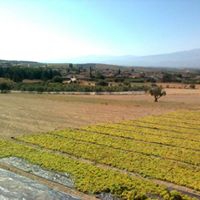 Salihli Çapaklı Köyü Resimleri 15