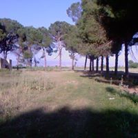 Salihli Çapaklı Köyü Resimleri 7