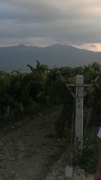 Salihli Çayköy Köyü Resimleri 4