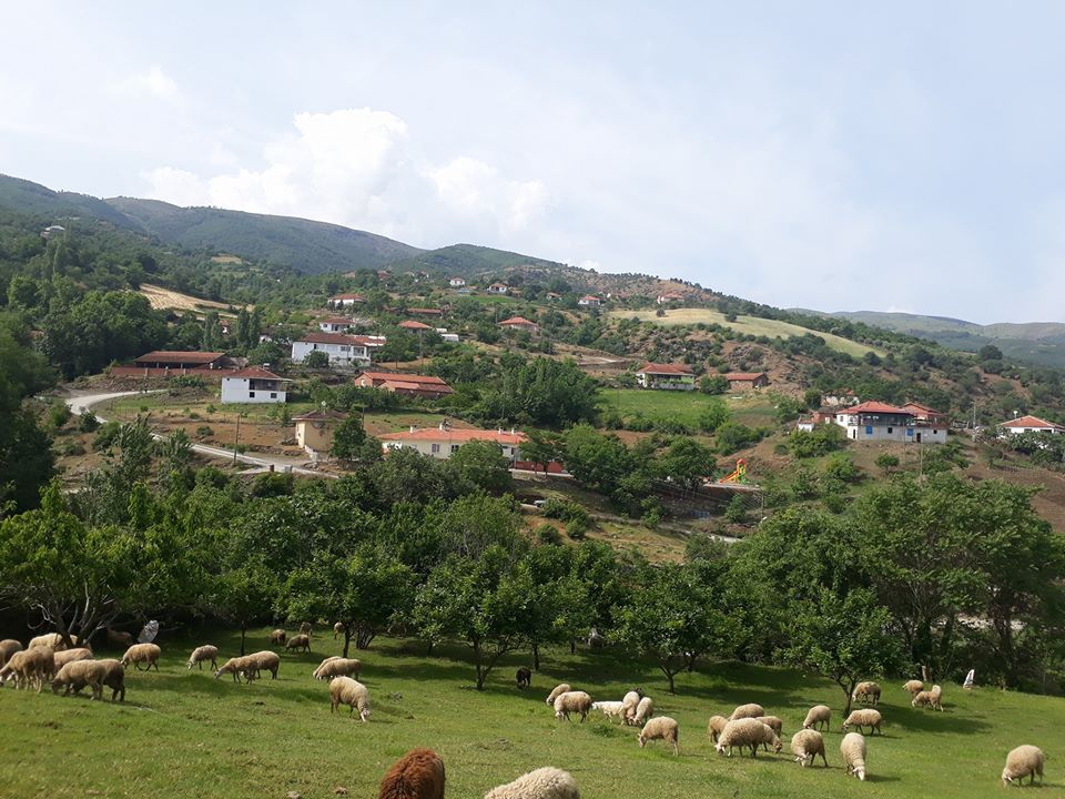 Salihli Çelikli Köyü Resimleri 7