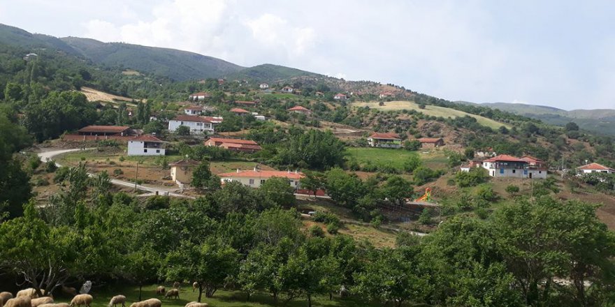 Salihli Çelikli Köyü Resimleri