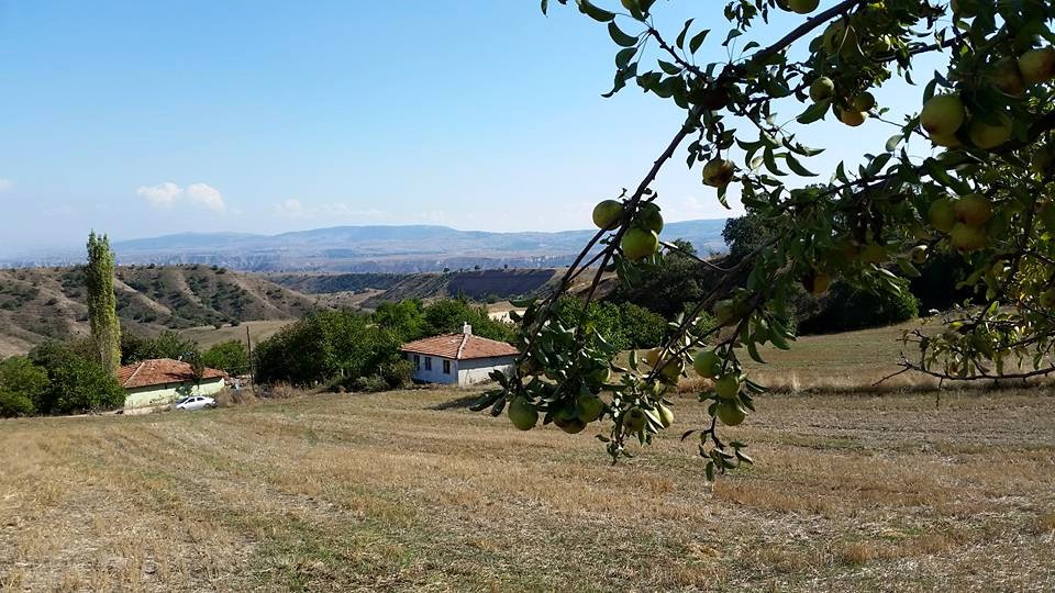 Amasya Merzifon Türkoğlu Köyü Resimleri 11
