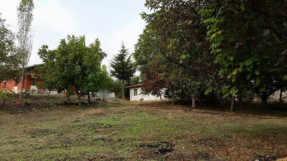 Amasya Merzifon Türkoğlu Köyü Resimleri 2