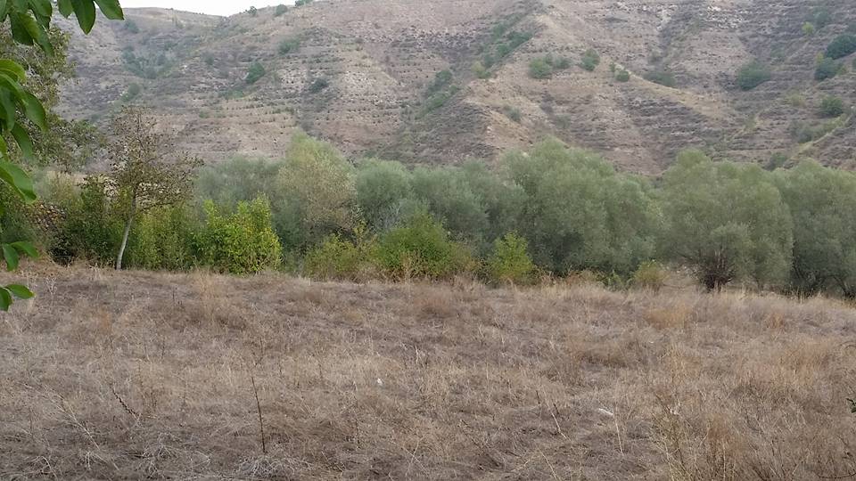 Amasya Merzifon Türkoğlu Köyü Resimleri 5