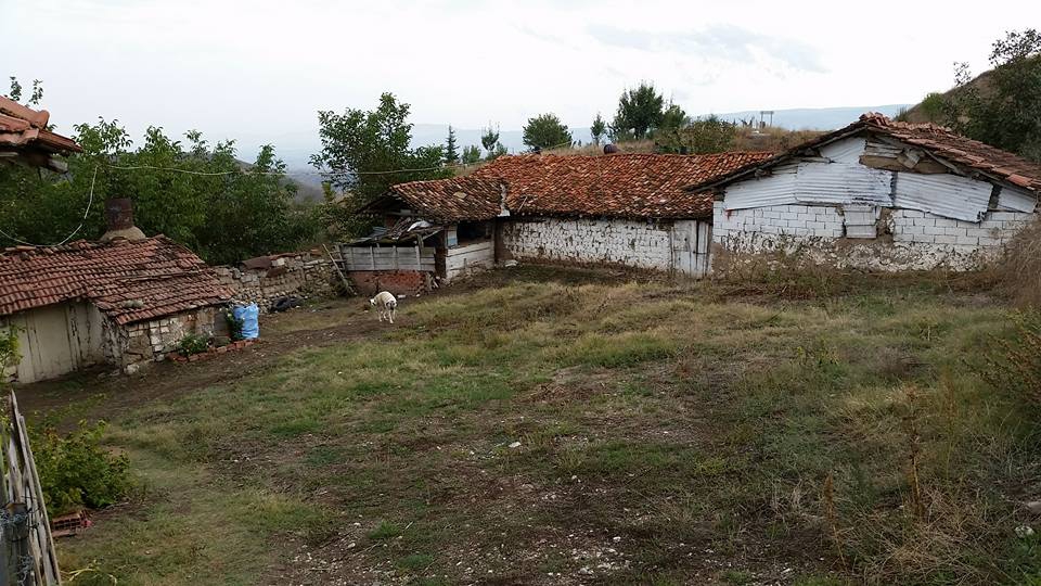 Amasya Merzifon Türkoğlu Köyü Resimleri 6