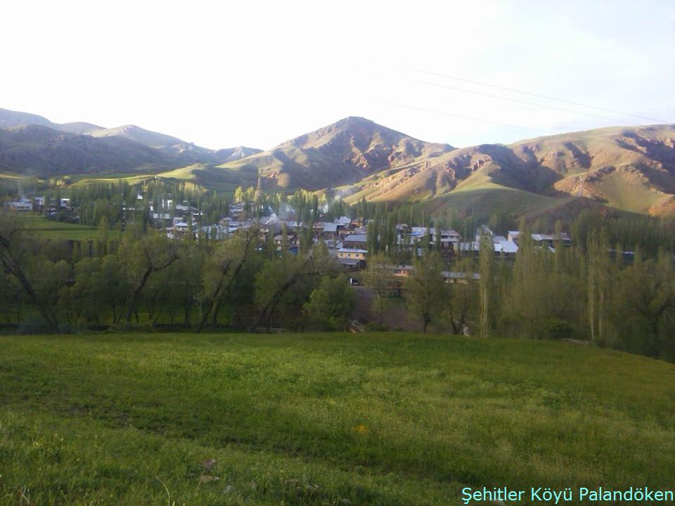Palandöken Şehitler Köyü Resimleri 3