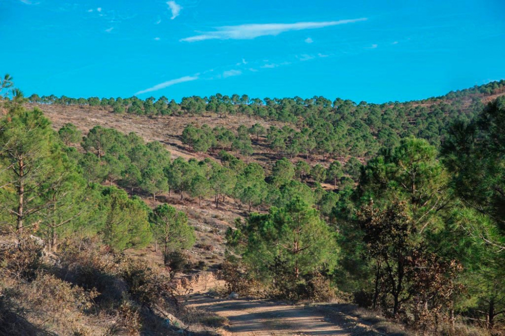 Salihli Çukuroba Köyü Resimleri 1