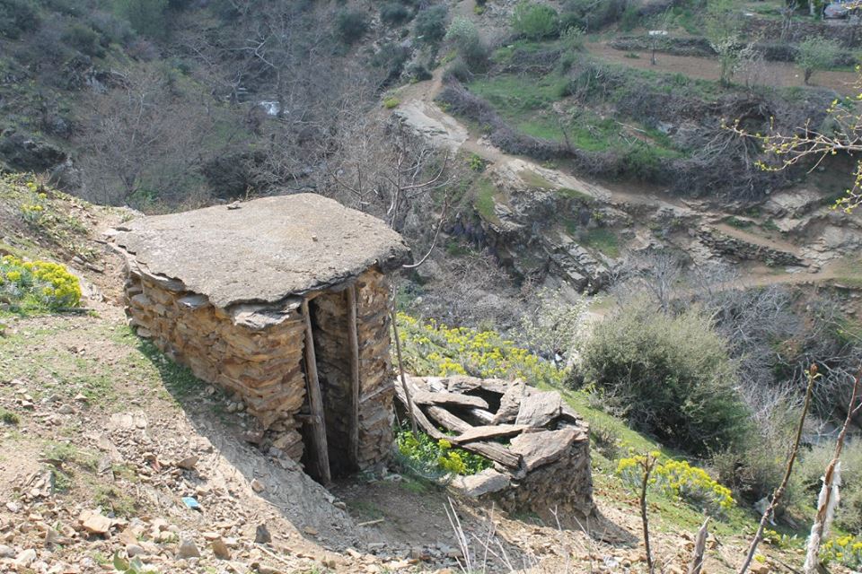 Salihli Damatlı Köyü Resimleri 9