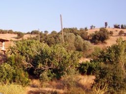 Salihli Derbent Köyü Resimleri 1