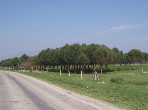 Salihli Derbent Köyü Resimleri 3