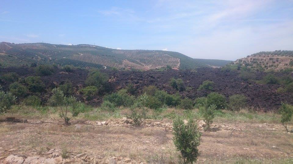 Salihli Eminbey Köyü Resimleri 2