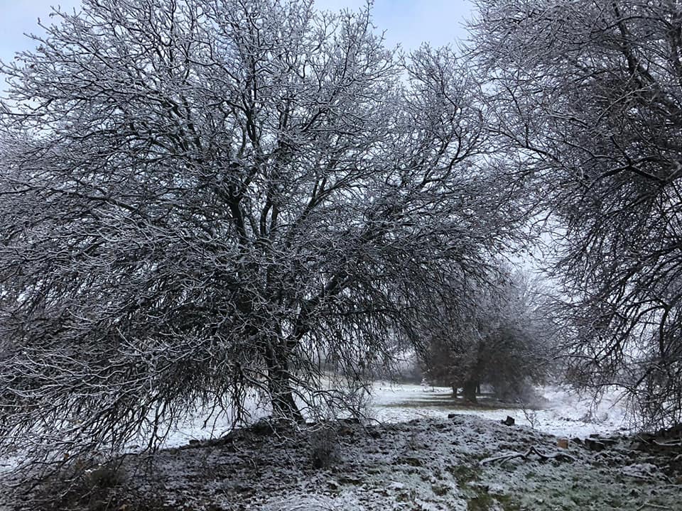 Salihli Eminbey Köyü Resimleri 6