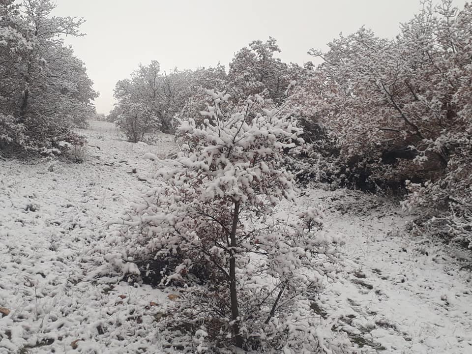 Salihli Eminbey Köyü Resimleri 8