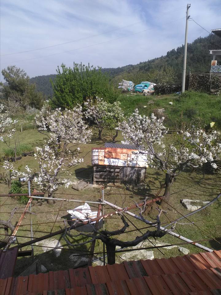 Salihli Gökköy Köyü Resimleri 4