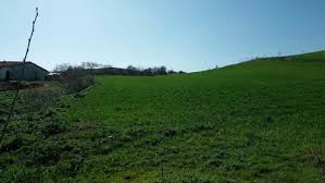 Hayrabolu Bayramşah Köyü Resimleri 1