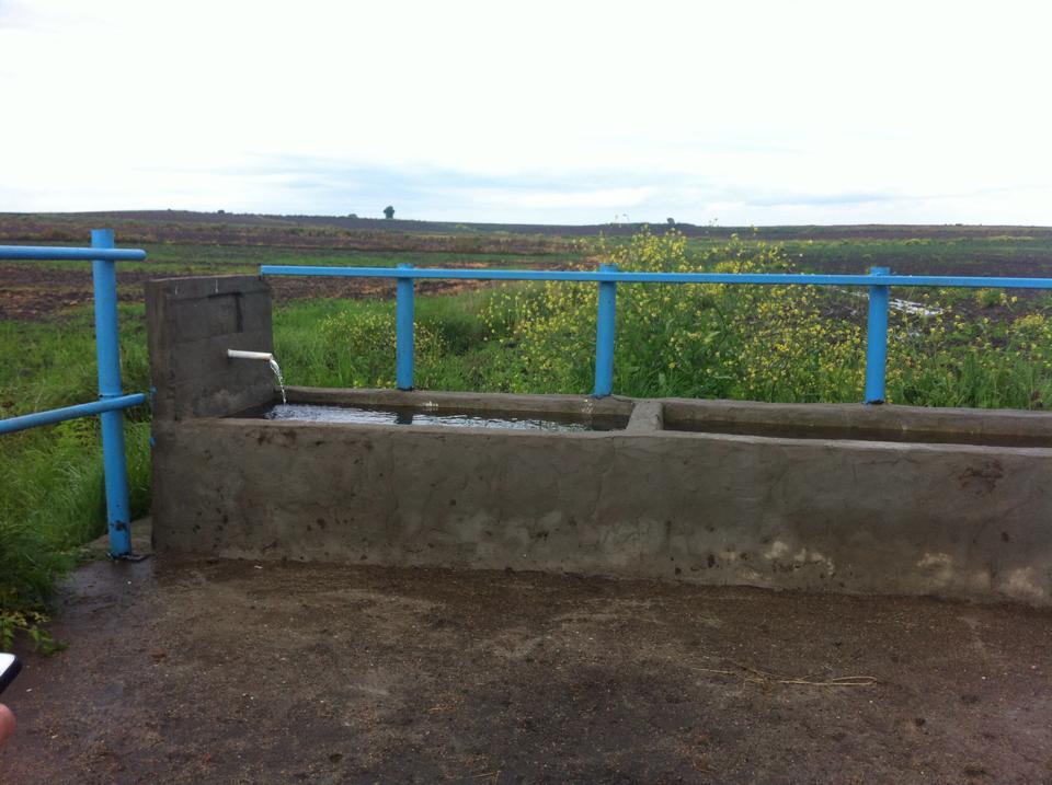 Hayrabolu Buzağcı Köyü Resimleri 2