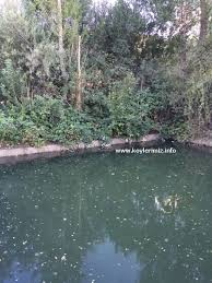 Gümüşhane  Alaçat  Köyü Resimleri 4