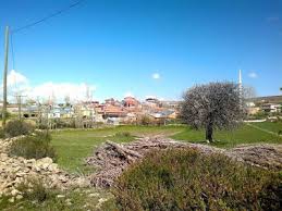 Gümüşhane  Alaçat  Köyü Resimleri 6