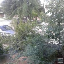 Hayrabolu Dambaslar Köyü Resimleri 4