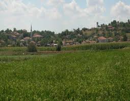 Hayrabolu Kadriye Köyü Resimleri 1