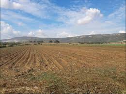 Hayrabolu Kadriye Köyü Resimleri 2