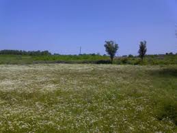 Hayrabolu Kadriye Köyü Resimleri 3