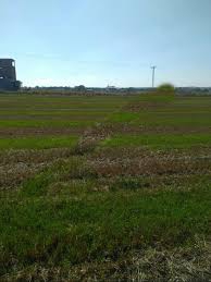 Hayrabolu Kandamış Köyü Resimleri 1