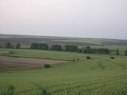 Hayrabolu Kılıçlar Köyü Resimleri 4