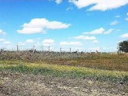 Hayrabolu Kurtdere Köyü Resimleri 2