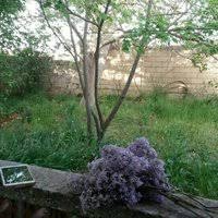 Hayrabolu Küçükkarakarlı Köyü Resimleri 2