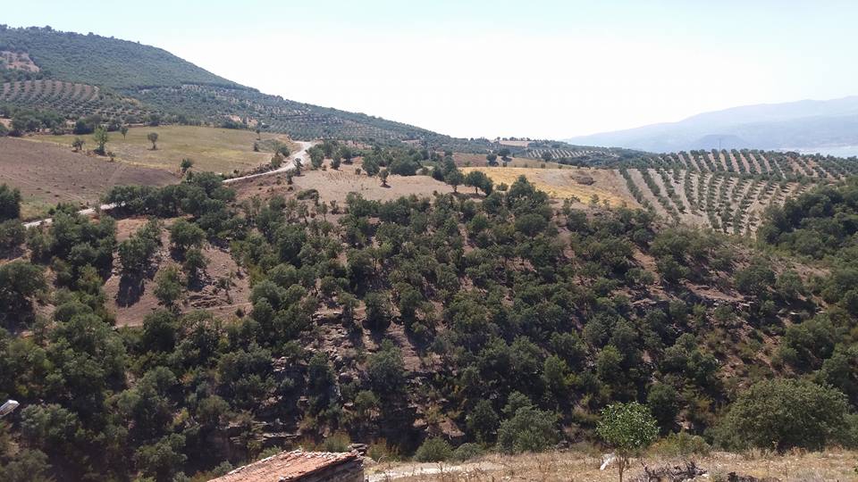 Salihli Hacıköseli Köyü Resimleri 3